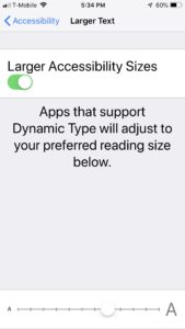 Larger Accessible Text iPhone